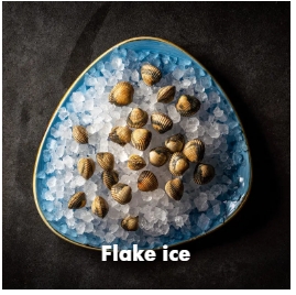 Ice4