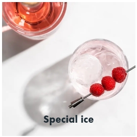 Ice6